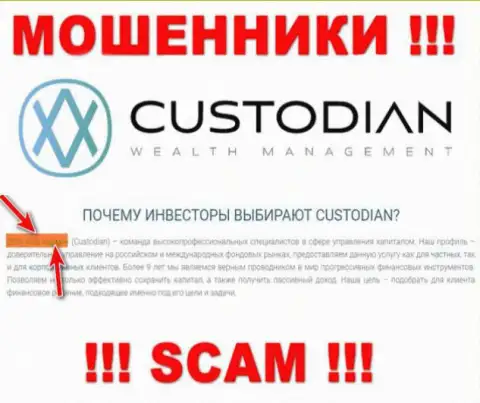 Юридическим лицом, управляющим internet мошенниками Кустодиан, является ООО Кастодиан
