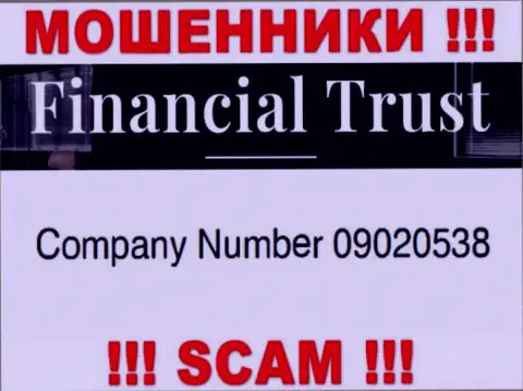 Регистрационный номер очередных махинаторов глобальной сети интернет конторы Financial Trust - 09020538