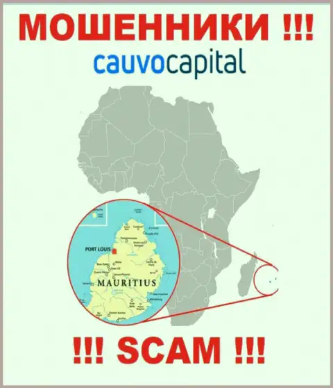 Организация CauvoCapital Com ворует финансовые активы клиентов, зарегистрировавшись в офшоре - Mauritius