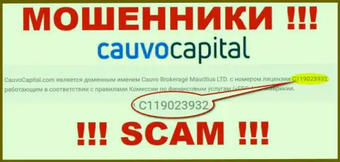 Мошенники CauvoCapital Com бессовестно обворовывают своих клиентов, хотя и представили свою лицензию на онлайн-ресурсе