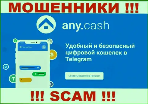 Any Cash это internet мошенники, их работа - Крипто кошелек, направлена на грабеж финансовых вложений наивных клиентов