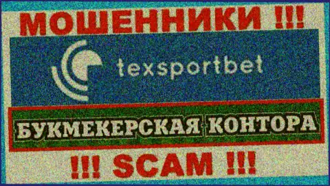 Вид деятельности интернет-мошенников TexSportBet это Букмекер, но помните это обман !