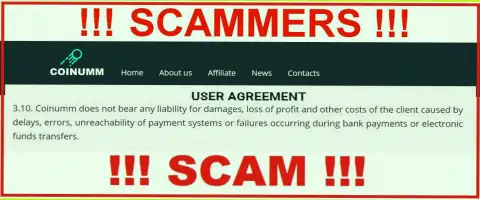Coinumm Com thiefs aren't liable for client losses
