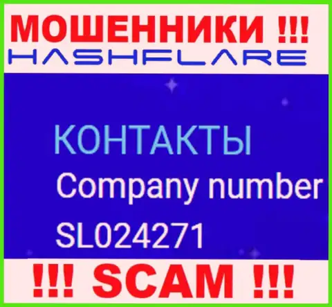 Регистрационный номер, под которым зарегистрирована компания ХэшФлэр ЛП: SL024271