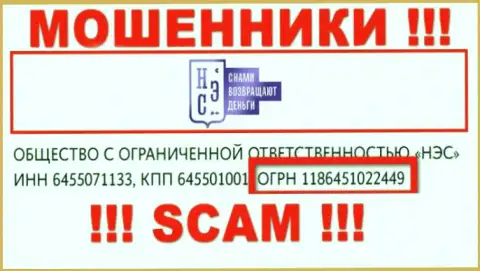 Номер регистрации организации АллЧарджбек Ру - 1186451022449