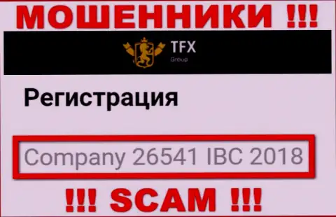 Номер регистрации, принадлежащий преступно действующей организации TFX-Group Com: 26541 IBC 2018