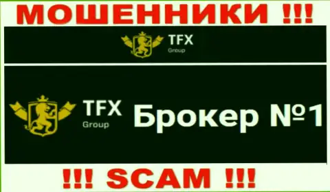 Не надо доверять вклады TFX FINANCE GROUP LTD, так как их сфера работы, FOREX, обман