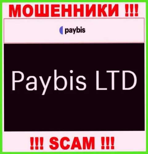 Paybis LTD владеет организацией PayBis Com - это ВОРЮГИ !!!