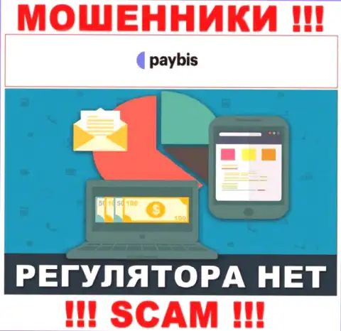 У PayBis на информационном ресурсе не имеется информации о регулирующем органе и лицензионном документе конторы, следовательно их вообще нет