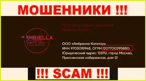 ООО Амбрелла Капитал интернет мошенников Umbrella Capital зарегистрировано под этим номером: 207700295880