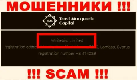 На официальном ресурсе Trust-M-Capital Com говорится, что указанной организацией владеет Whitebird Limited