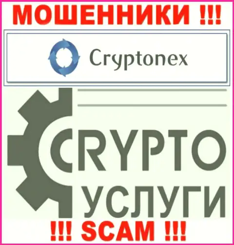 Взаимодействуя с CryptoNex, область деятельности которых Крипто услуги, рискуете остаться без своих вложенных средств