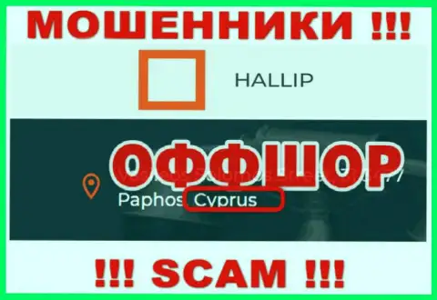 Лохотрон Hallip имеет регистрацию на территории - Кипр