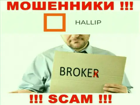 Сфера деятельности мошенников Hallip Com - это Брокер, но имейте ввиду это обман !!!