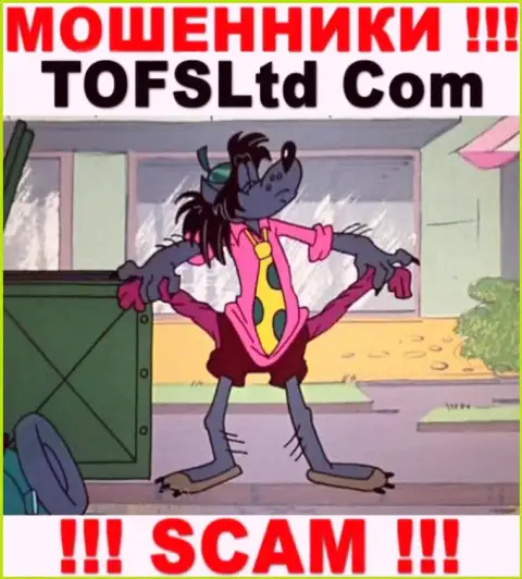 Абсолютно все, что услышите из уст интернет-мошенников TOFSLtd Com - это сплошная ложная информация, будьте крайне осторожны