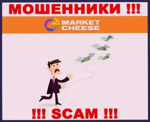 Держитесь подальше от internet-мошенников MCheese Ru - рассказывают про много денег, а в результате оставляют без денег