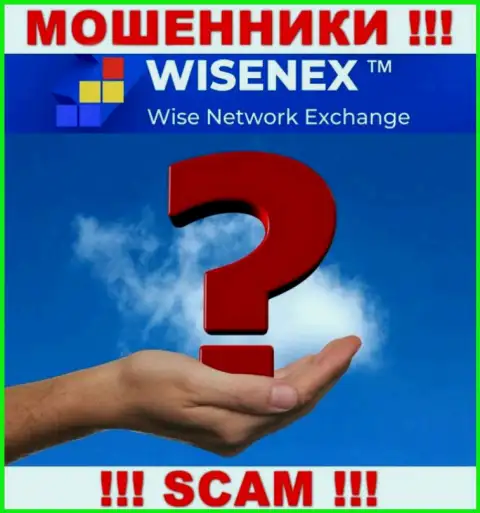 Понять кто именно является руководителями организации WisenEx Com не представилось возможным, эти разводилы занимаются обманом, в связи с чем свое руководство скрывают