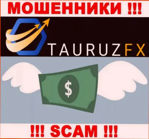Брокерская компания TauruzFX работает лишь на прием вложенных денежных средств, с ними Вы абсолютно ничего не сможете заработать