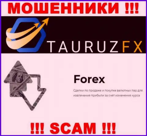 FOREX - это то, чем промышляют мошенники TauruzFX