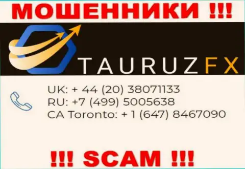 Не берите трубку, когда звонят незнакомые, это могут оказаться internet-кидалы из компании Tauruz FX