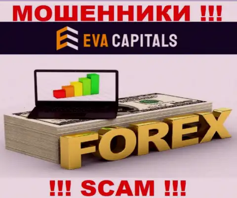 Forex - это именно то, чем промышляют интернет-воры Eva Capitals