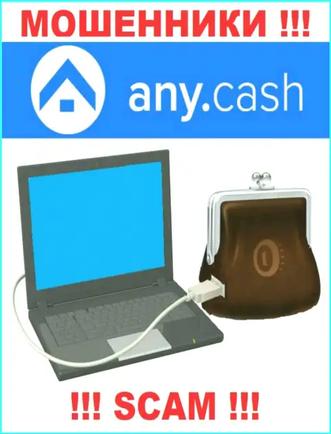 Any Cash - это МОШЕННИКИ, род деятельности которых - Цифровой online-кошелек