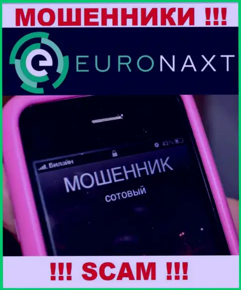 Вас могут развести на деньги, EuroNaxt Com подыскивают очередных лохов