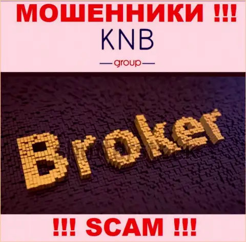 Область деятельности противоправно действующей компании KNB Group это Брокер