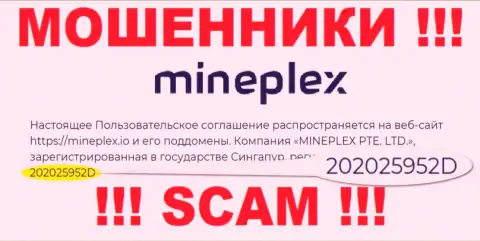 Рег. номер еще одной противозаконно действующей конторы Mine Plex - 202025952D