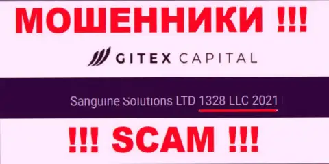 Номер регистрации организации Gitex Capital - 1328 LLC 2021