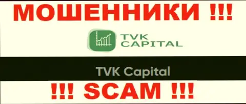 TVK Capital - это юр. лицо кидал ТВК Капитал