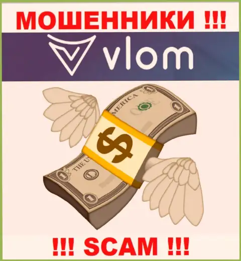 Дилинговая организация Vlom промышляет лишь на прием денежных активов, с ними Вы ничего не сумеете заработать