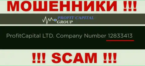 Номер регистрации Profit Capital Group, который показан обманщиками на их сайте: 12833413