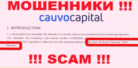 Невозможно забрать обратно средства у CauvoCapital - они спрятались в офшоре по адресу: The Core, 62 Ebene Cybercity, 72201, Mauritius