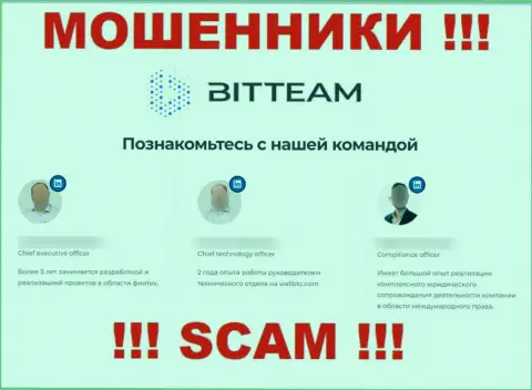 Доверять инфе BitTeam о прямом руководстве рискованно, ведь это подставные лица