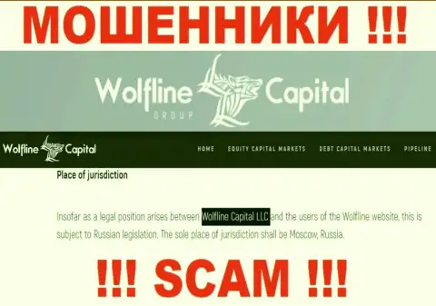 Юр лицо компании Wolfline Capital - это ООО Волфлайн Капитал