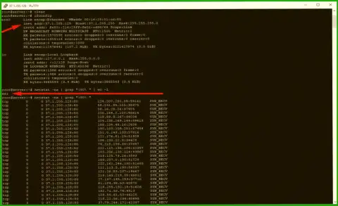 Пример ДДоС атаки на сервер maximarkets.pro