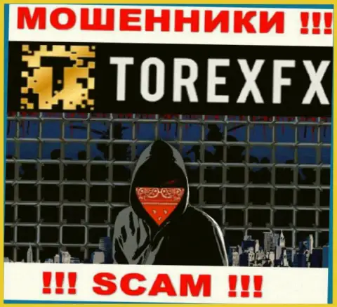 Torex FX скрывают информацию об руководстве компании