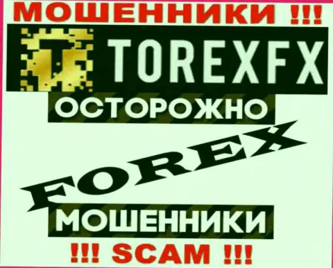 Направление деятельности ТорексФХ Ком: Форекс - отличный доход для интернет-мошенников